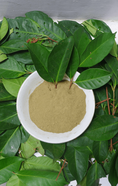 Bay Leaf Powder-sub-1