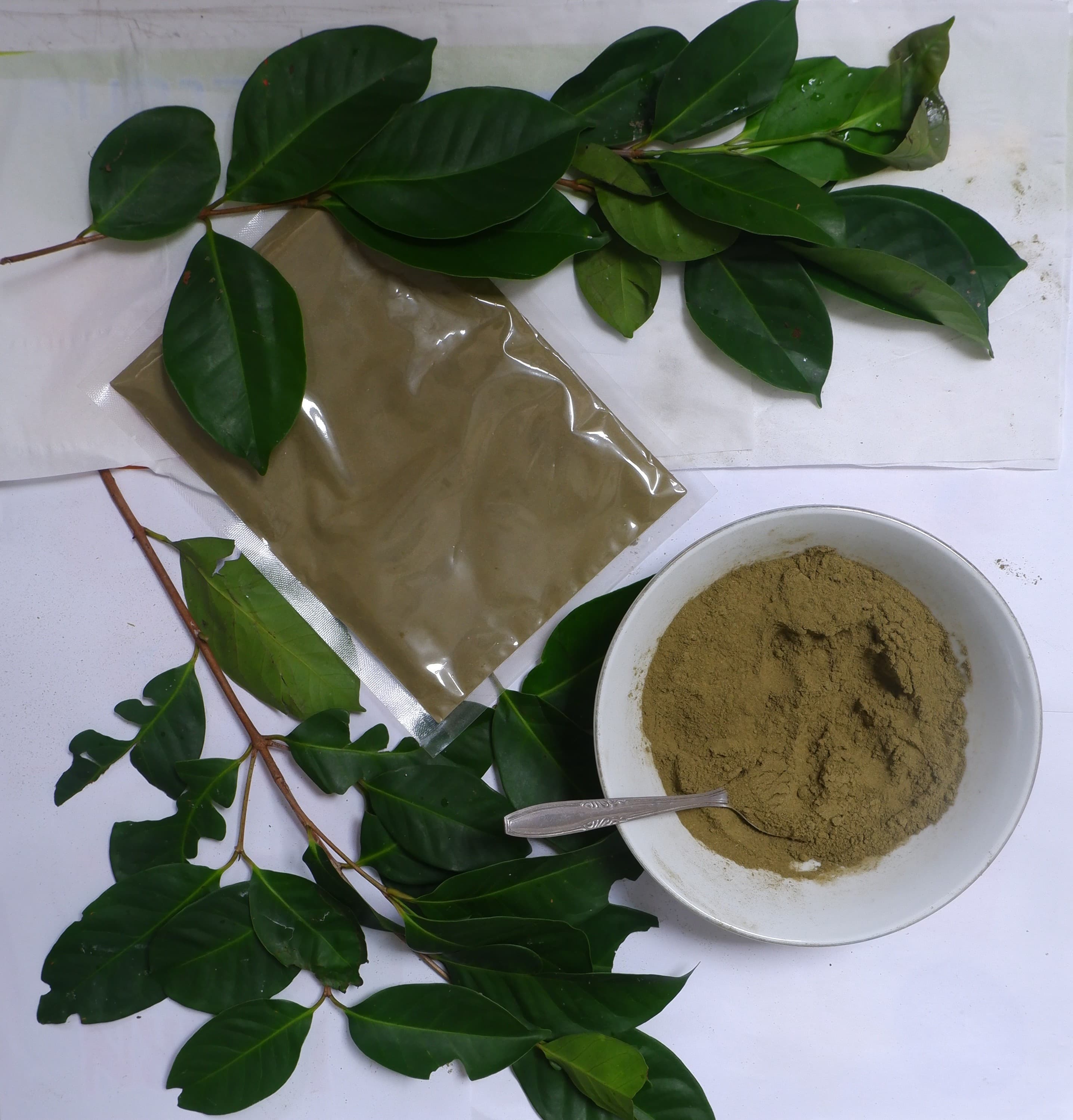 Bay Leaf Powder 1